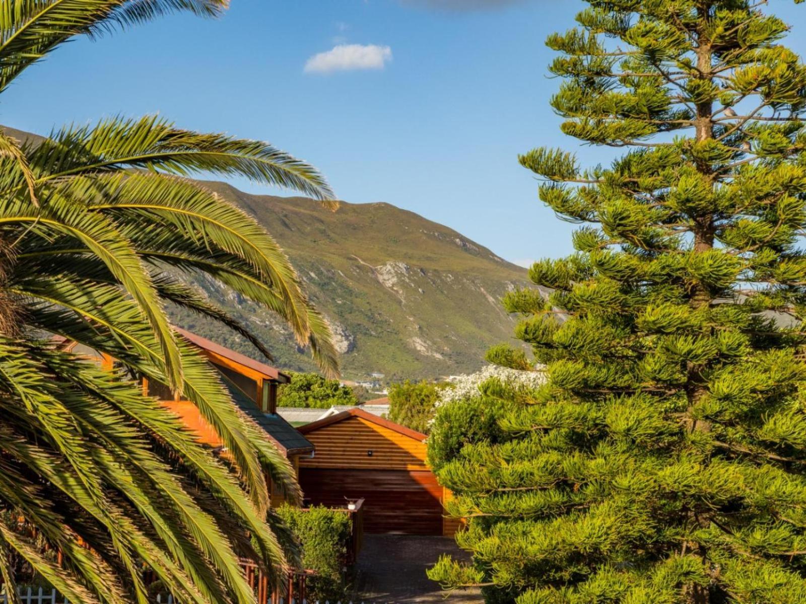 Two Palm House - Vermont Hermanus Habitación foto