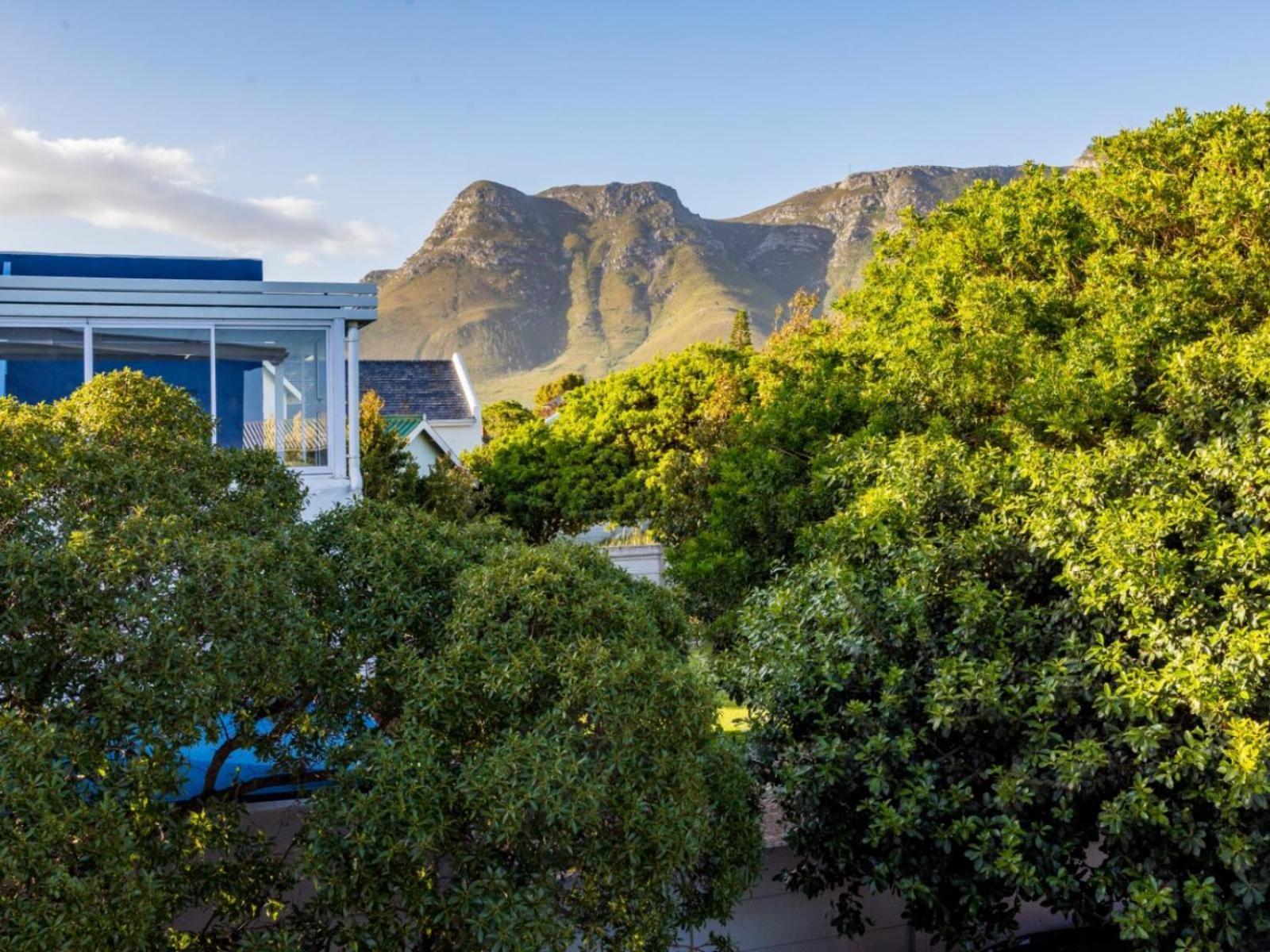 Two Palm House - Vermont Hermanus Habitación foto